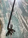 IMG_4877.webp