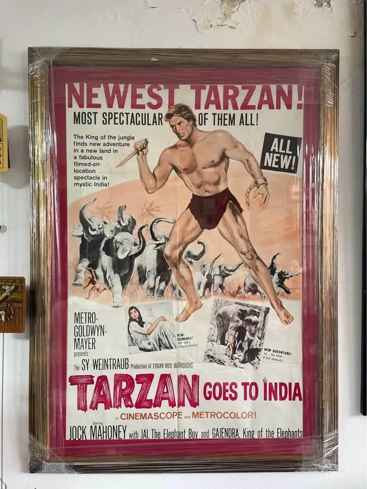 Cartél o poster de la película Tarzan Goes To India