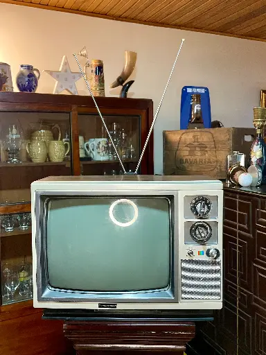 [TES-A-00000000376] Televisor pequeño Panatronic
