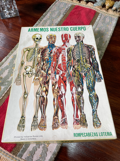 Rompecabezas lotería del cuerpo humano